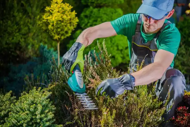 landscaping services Millers Falls